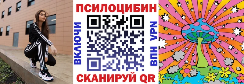Галлюциногенные грибы мицелий  кракен ТОР  Дубовка 